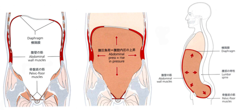 腹腔 内圧