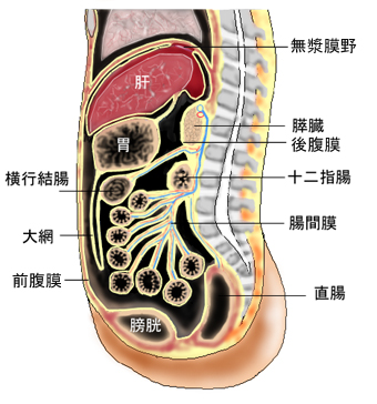 腹圧