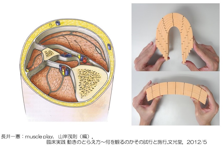 身体デザイナー