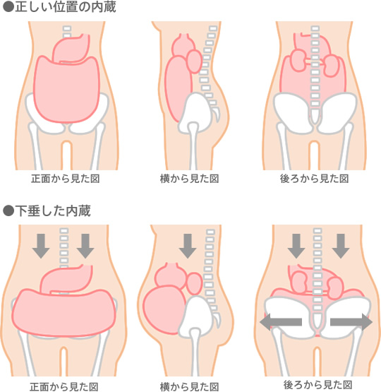 胃下垂 と は