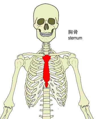 腹圧