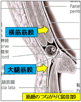 腹圧