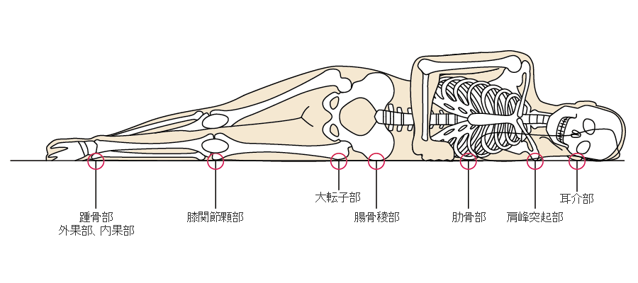 身体デザイナー