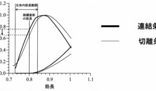 筋膜切離-725x357